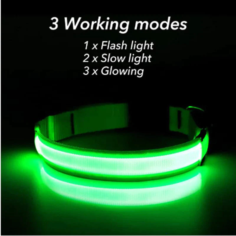 LED Adjustable Dog Collar Blinking Flashing Light up
