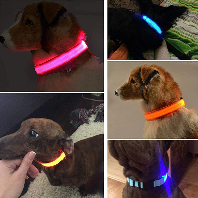 LED Adjustable Dog Collar Blinking Flashing Light up